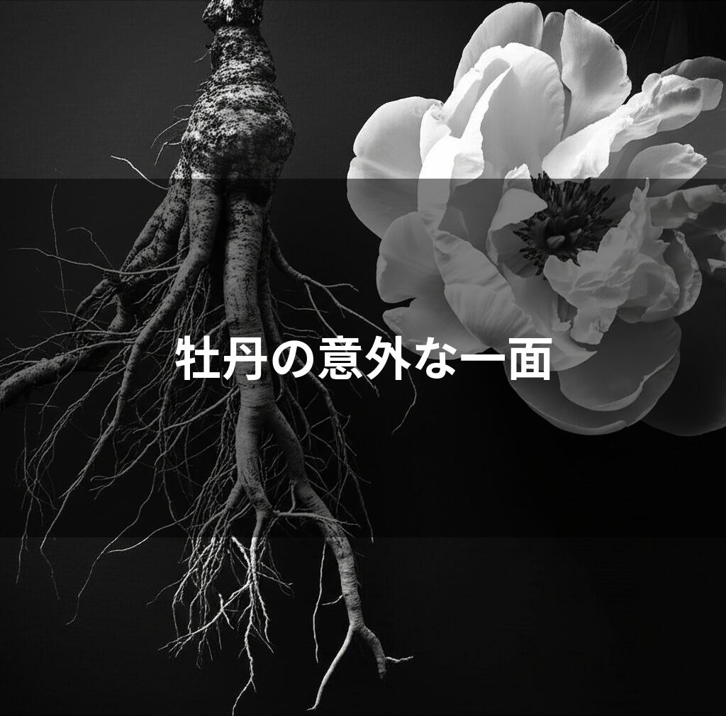 白い花と根菜のモノクロ写真