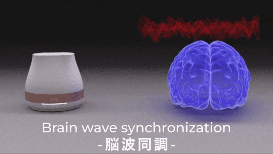 znie-liteと脳はの関係性