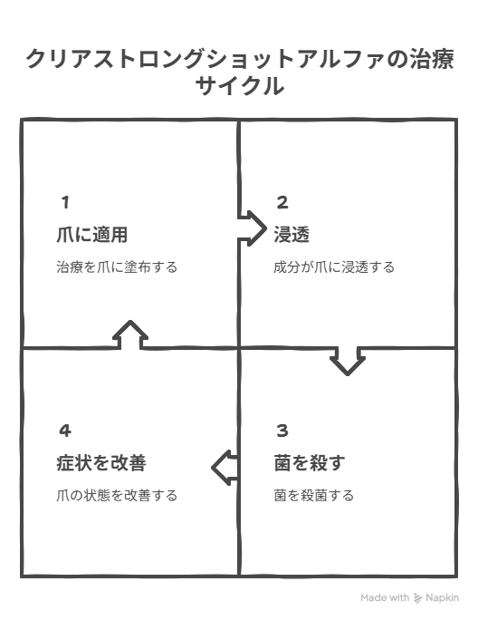 クリアストロングショットアルファの治療サイクル図