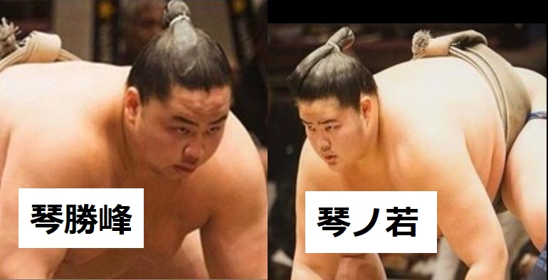 琴櫻関と琴勝峰関は似ている? 関係を解説